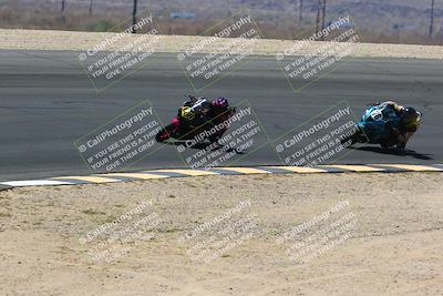 media/May-14-2022-SoCal Trackdays (Sat) [[7b6169074d]]/Turn 12 Backside (1135am)/